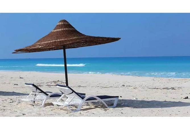 7989254 - صورة العقار 3