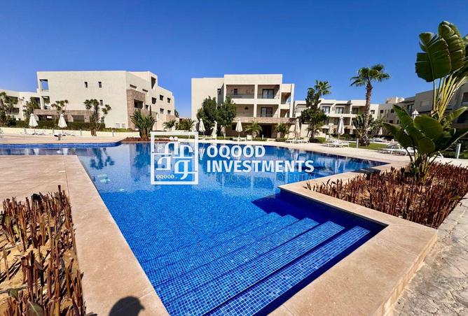 8236826 - Property Image 2