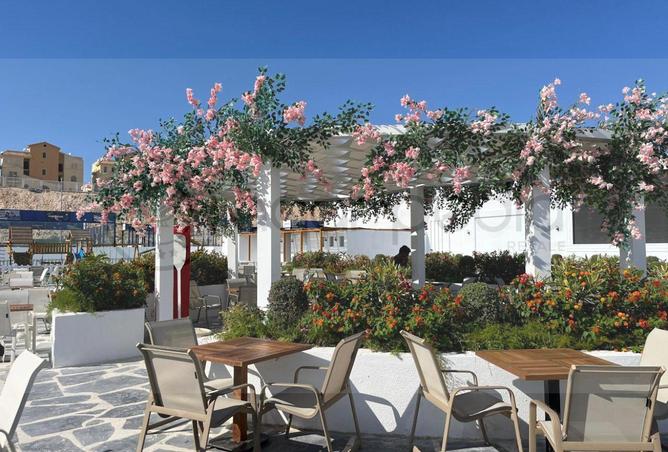 8562885 - Property Image 3