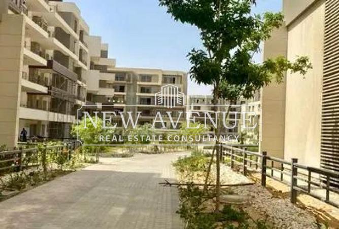 8450414 - Property Image 3