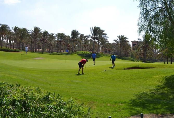 8490518 - صورة العقار 2