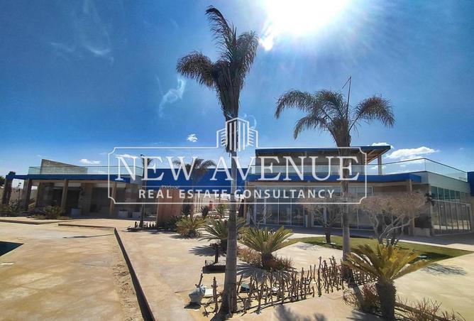 8398629 - Property Image 2