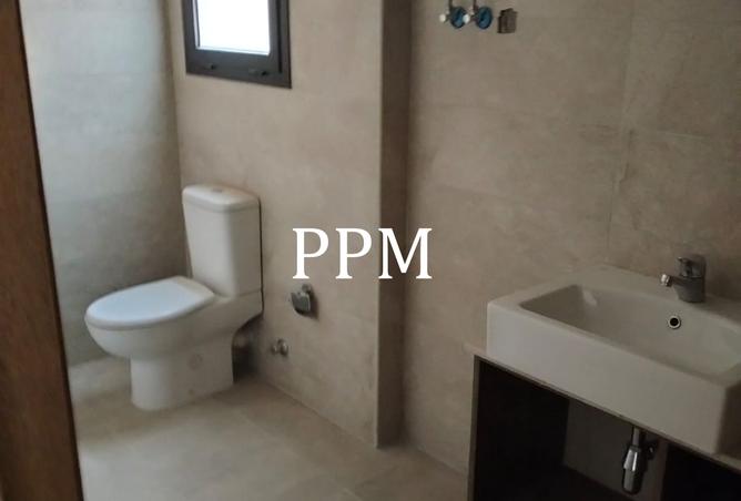 8305246 - Property Image 3