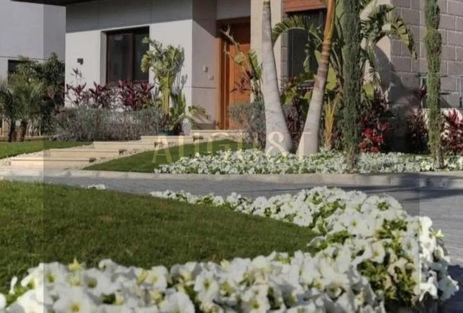 8320381 - Property Image 3