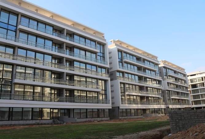 8209086 - Property Image 3