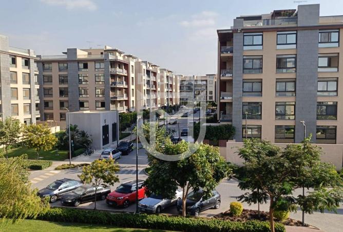 8293256 - صورة العقار 2