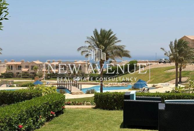 8448266 - Property Image 3