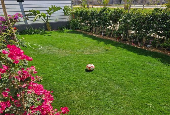 8095991 - Property Image 3