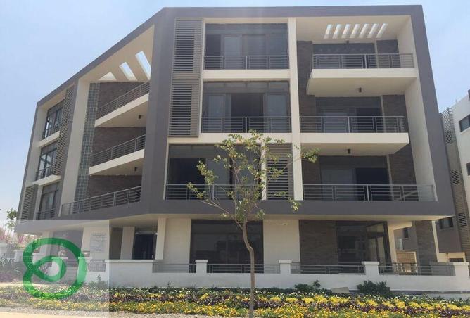 8470779 - Property Image 3