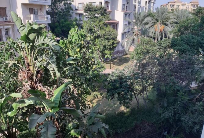 8486225 - صورة العقار 3