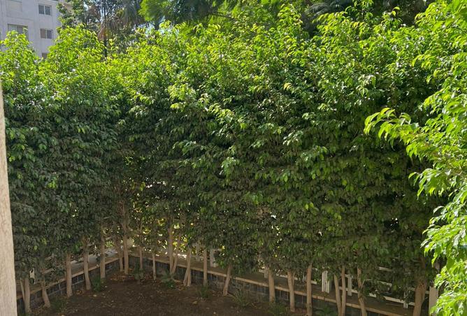 8392738 - صورة العقار 2