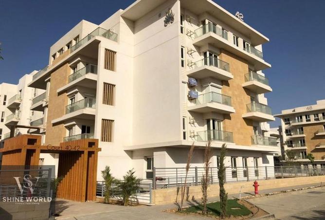 7841972 - Property Image 3