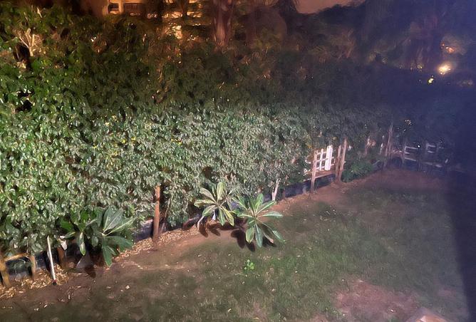 8435437 - Property Image 3