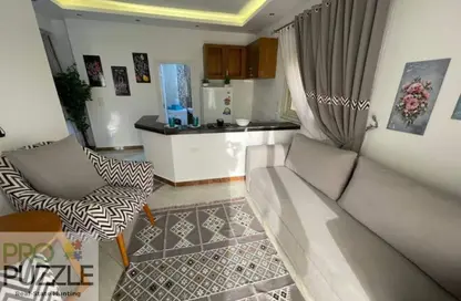 Apartment - 1 Bedroom - 1 Bathroom for rent in East The Academy - New Cairo City - Cairo