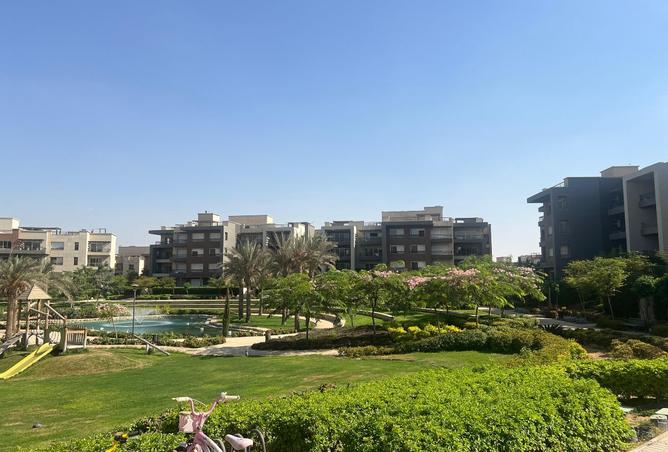 8011858 - Property Image 3
