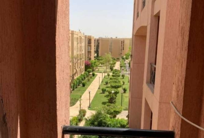 7952335 - صورة العقار 3