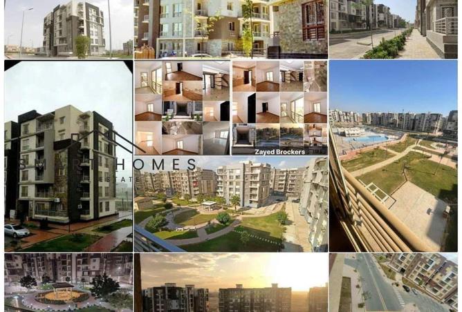 8310826 - Property Image 2