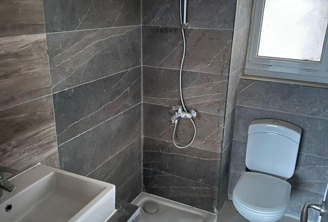 7887403 - Property Image 3