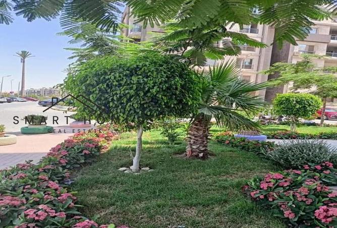 8563825 - صورة العقار 3