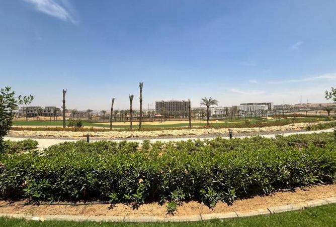 7950126 - صورة العقار 2