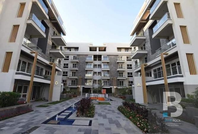 7936607 - Property Image 3