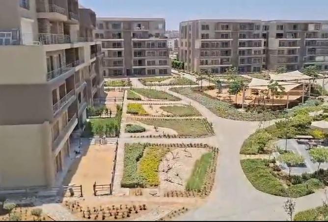 8240242 - صورة العقار 3