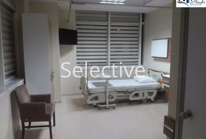 8242250 - Property Image 3