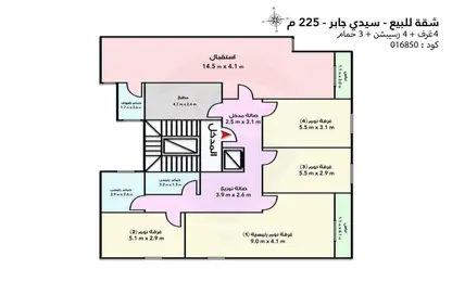 شقة - 4 غرف نوم - 3 حمامات للبيع في سيدي جابر - حي شرق - الاسكندرية