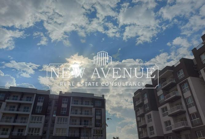 8417637 - Property Image 3