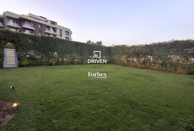 8216067 - Property Image 2