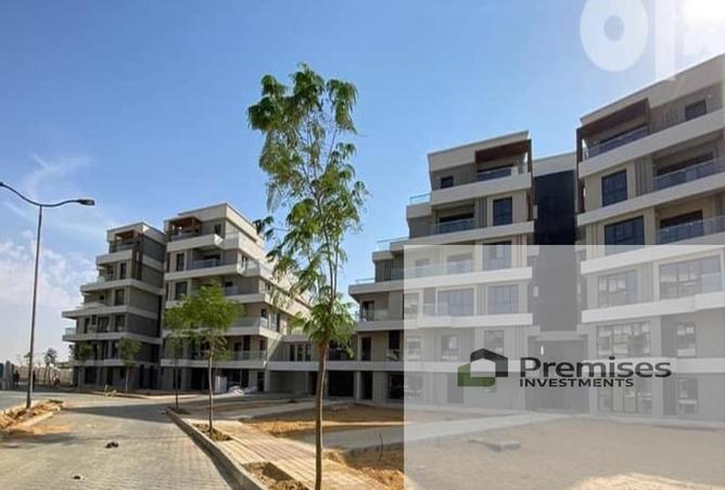 8449490 - Property Image 3