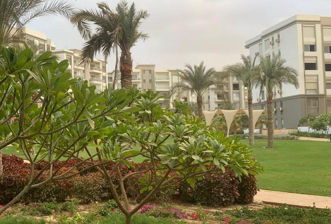 8374101 - صورة العقار 2