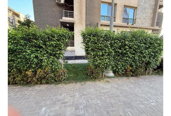 7922631 - صورة العقار 3