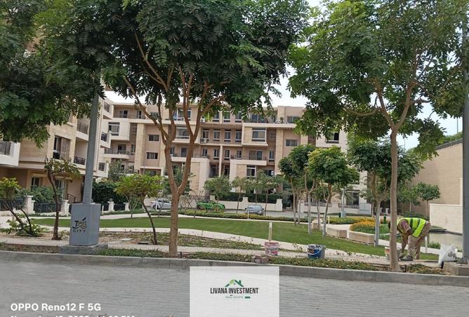 8486592 - Property Image 3