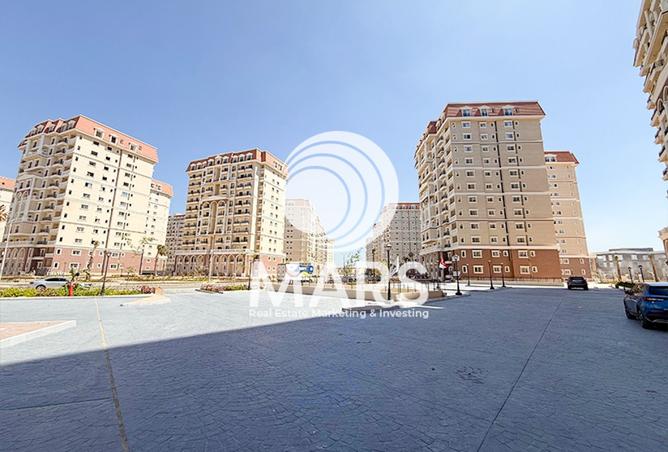7951544 - صورة العقار 3