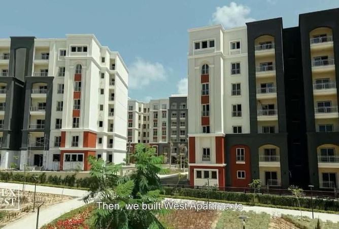 8423859 - Property Image 2