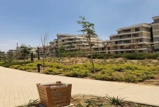 8369047 - Property Image 2