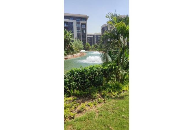 8260705 - الصورة الرئيسية للعقار