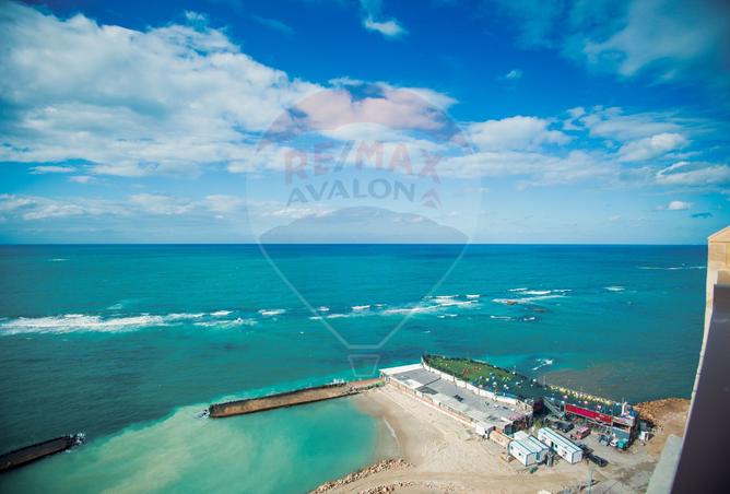 8036797 - الصورة الرئيسية للعقار