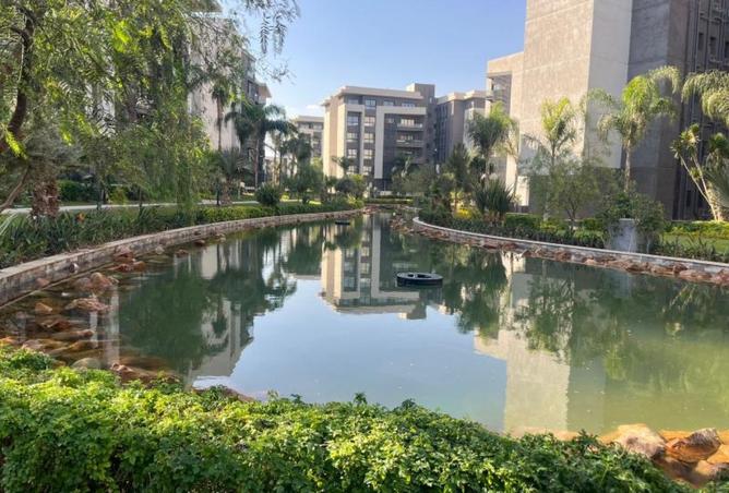 8404721 - صورة العقار 2