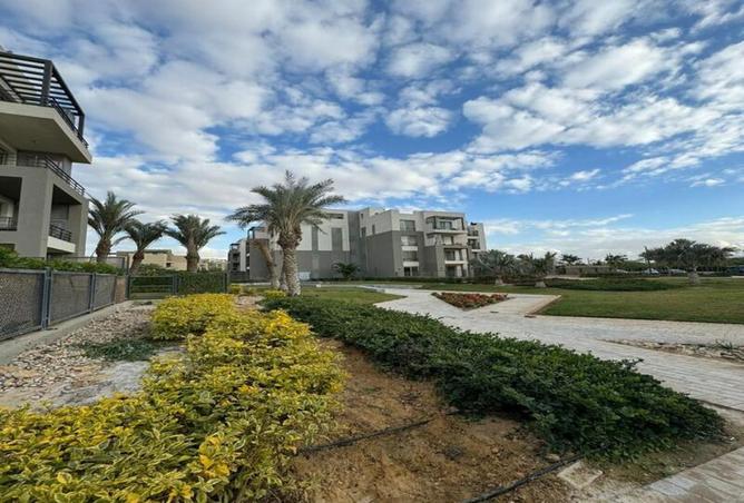 8402828 - Property Image 3