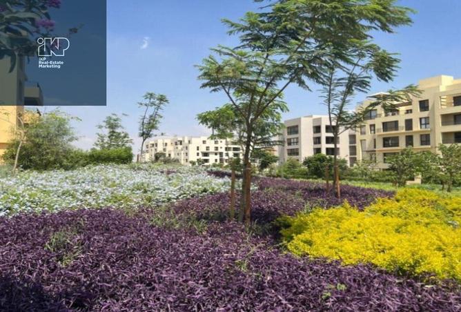 8203390 - الصورة الرئيسية للعقار