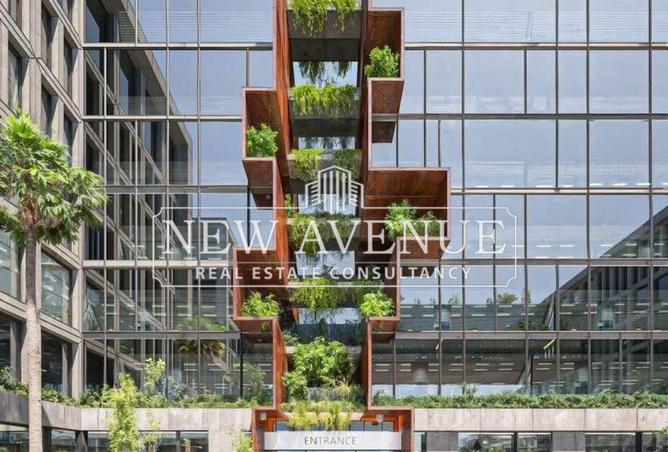 8077386 - Property Image 2