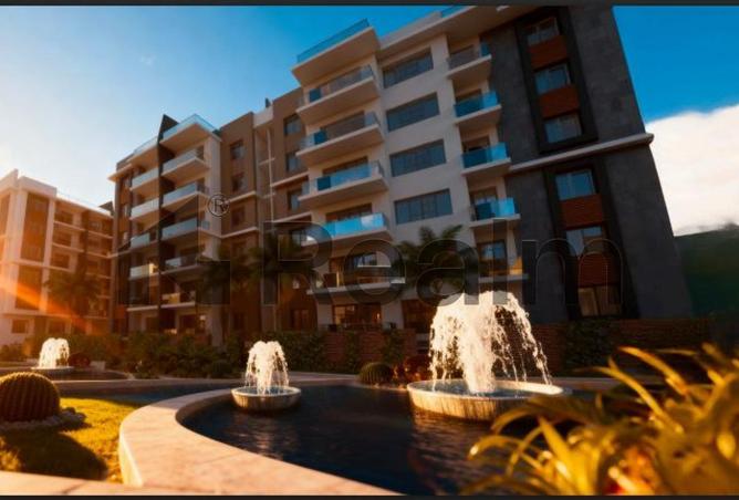 8386142 - Property Image 3