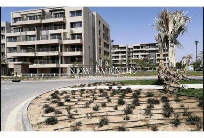 8097186 - Property Image 2