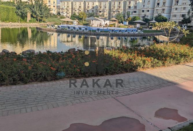 8234942 - Property Image 2