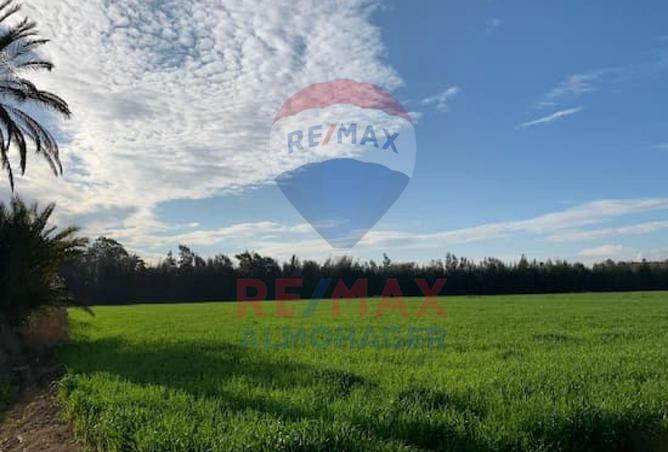 8450439 - صورة العقار 2