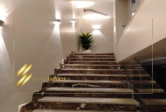 7917795 - Property Image 3