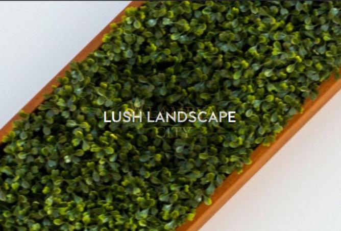 8558291 - صورة العقار 3