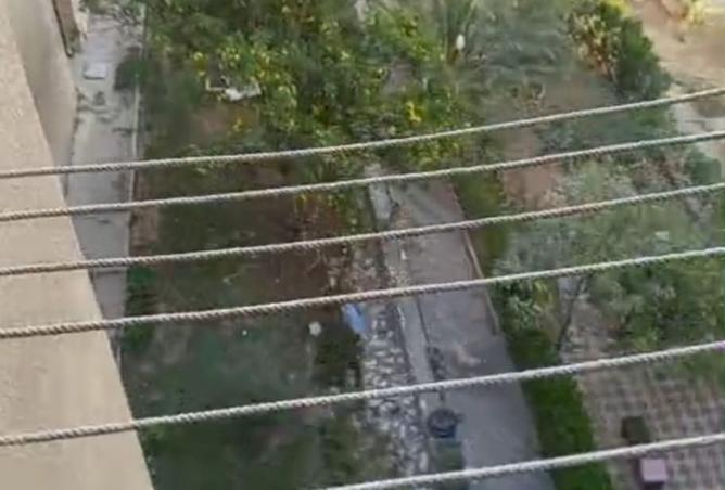 8479293 - Property Image 2